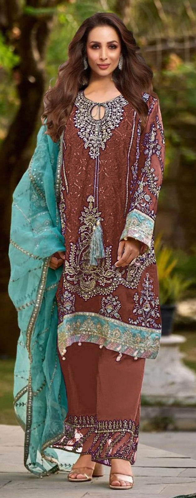Mehmood 55 A Heavy Orgenza With Embroidery Worked Pakistani Suits