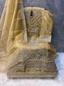 Hoor Tex 61 A Heavy Organza Embroidery Worked Pakistani Suits