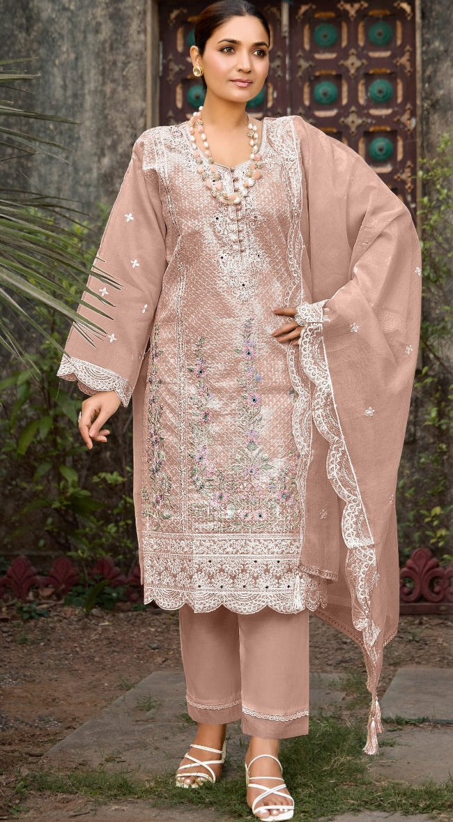 Fepic 1976 B Tishu Organza Embroidered With Hand Worked Pakistani Suits