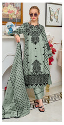 Fepic Rosemeen 1966 B Organza Embroidered With Hand Workedpakistani Suits