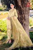 Aasha Designer 1172 A Pure Cotton Print With Heavy Embroidery Work Pakistani Suits