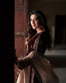 LC 1430 Luxurious Dark Velvet Embroidered Traditional Suits