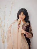 LC 1430 Luxurious Dark Velvet Embroidered Traditional Suits