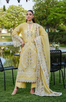 Saniya Trendz 3001 Cotton With Chikankari Embroidered Work Pakistani Suits