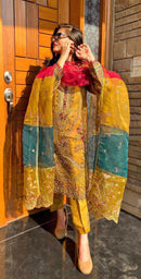 Fepic Rosemeen D 5246 Pearl Organza Embroidered Work Suit