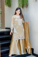 SSR 531 A Pure  Gmy Choo With Embroidery Sequence Work Suit