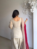 SRK 5345 Tebby Organza Party Wear Salwar Suits