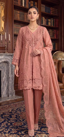Hoor Tex 699 D Designer Heavy Chiffon Pakistani Suit