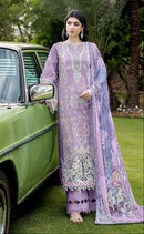 Saniya Trendz 29001 B Cotton With Chikankari Embroidered Work Pakistani Suit