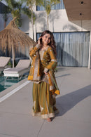 LW 9327 Fendi Chiffon With Zari Sequins Emboridery Work Traditional Suits