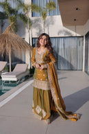 LW 9327 Fendi Chiffon With Zari Sequins Emboridery Work Traditional Suits