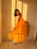 ZSR 3159 D Fendy Silk Sharara Traditional Wear Suit