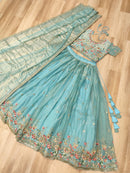 LW 7161 B Attractive Multi Thread Embroidery Work Lehenga