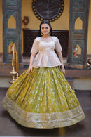 LW 7166 A Tissue Jacquard Sequins Embroidered Work Lehenga