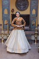 LW 7163 C Designer Sequins & Zari Embroidered Work Lehenga