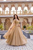 RM 160 B Heavy Embroidery Moti Sequence Thred Work