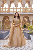 RM 160 B Heavy Embroidery Moti Sequence Thred Work