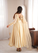 SRK 5355 Designer Real Mirror Work Lace Border Gown