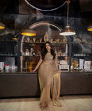 ASN 92 Premium Butterfly Soft Net With Jari Work Saree