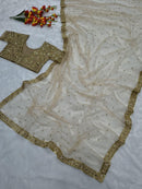ASN 92 Premium Butterfly Soft Net With Jari Work Saree