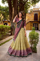 ISHANI LNB1253MUV Premuim Vichitra Silk Printed Lehenga