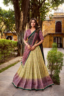 ISHANI LNB1253MUV Premuim Vichitra Silk Printed Lehenga