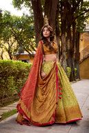 Ishani LNB1253CPR Premuim Vichitra Silk Printed Lehenga