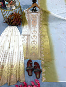 PD 1153 C Heavy Dual Tone Peding Georgette Embroidery Work Sharara Suit