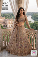Shivali VSN9 58803 Taupe Heavy Embroidered Net Lehenga